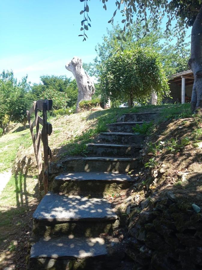 Apartamentos Rio Eo San Tirso de Abres 外观 照片